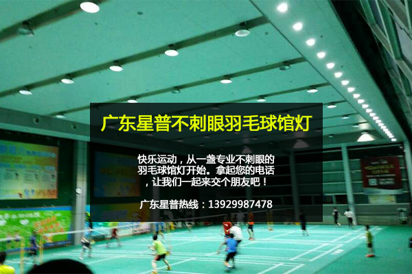 室內羽毛球館燈.png